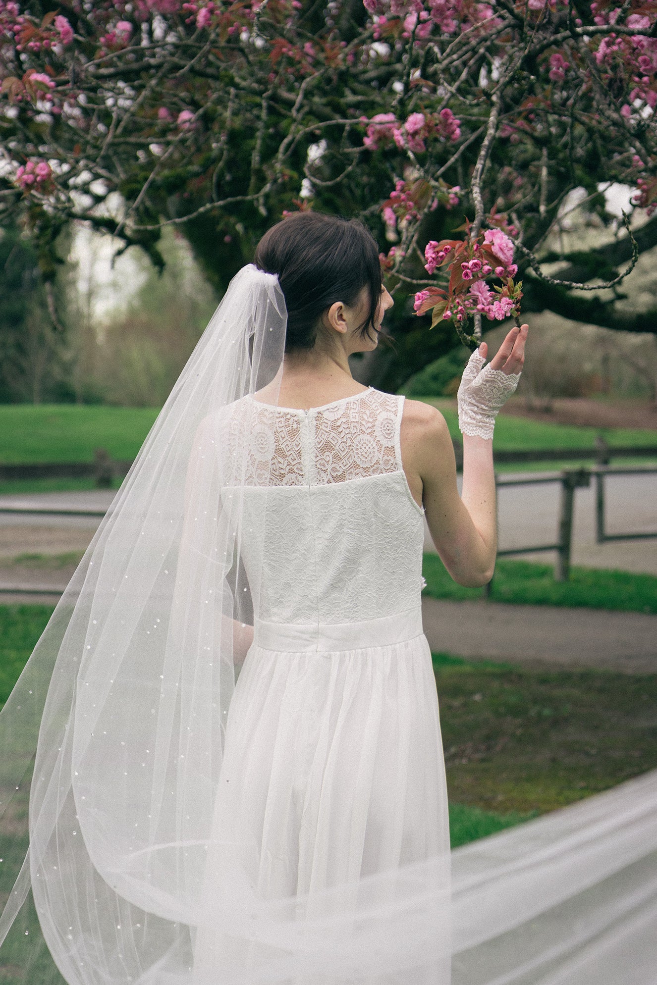 Crystal Starburst Veil